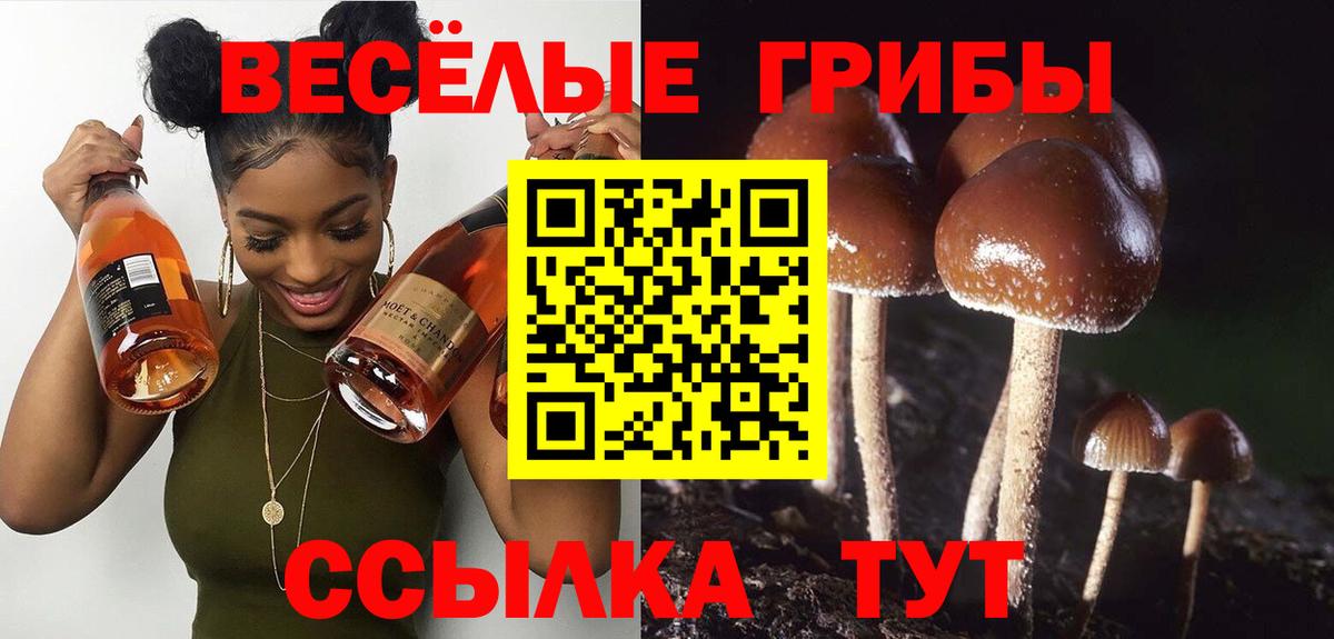 Галлюциногенные грибы Cubensis  Вход с VPN  Воткинск  Псилоцибиновые грибы Cubensis 